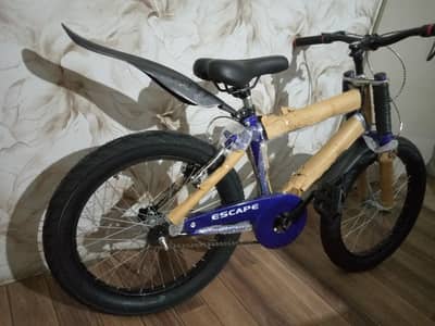 bicycle faty tire / imported bicycle