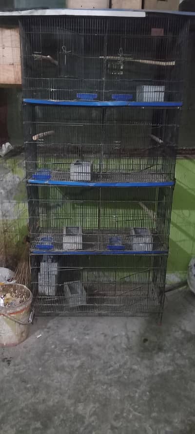 Birds cage