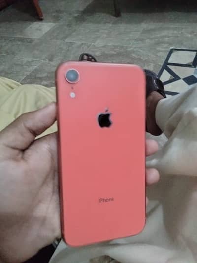 iPhone XR