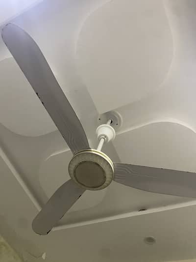 Ceiling Fan 12 volt