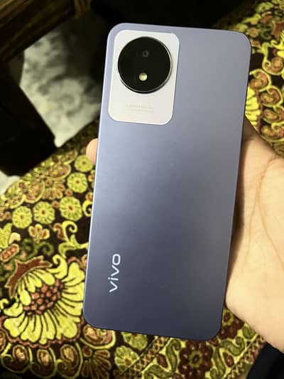 Vivo 10/10