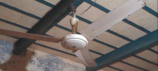 3 items of ceiling fan are available at suitable prices coper wiring.