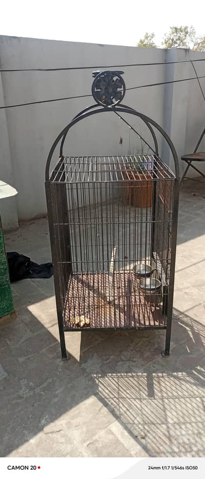 Cage for hand tame birds