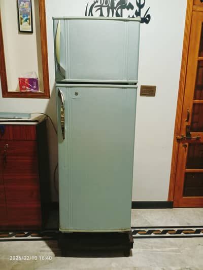singer Refrigerator