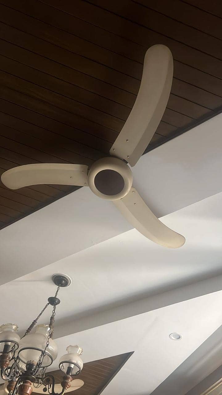 3 ceiling fans same 0