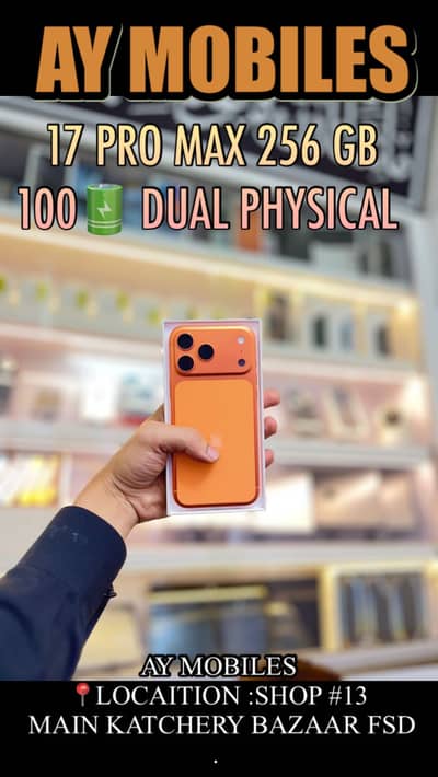 17 pro max 256 gb