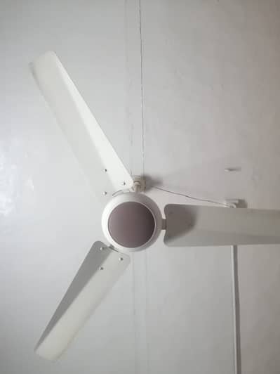 100% Working Ceiling Fan – Excellent Condition