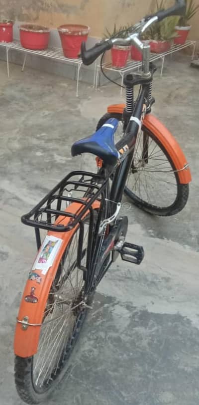 bicycle china for 12 years