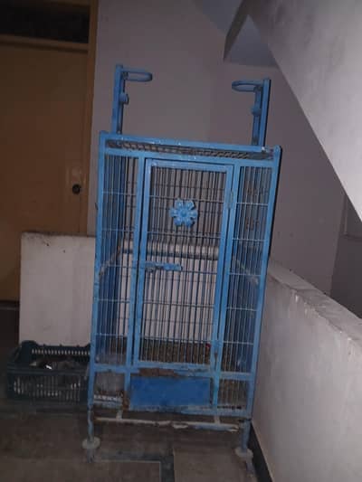 grey porrot cage