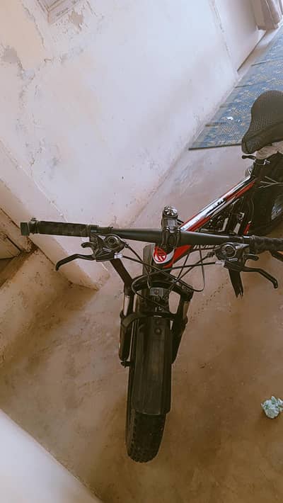 fat bike