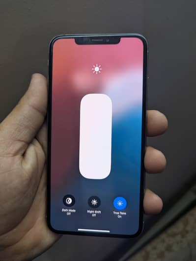 IPHONE XS MAX 256 GB APPROVED