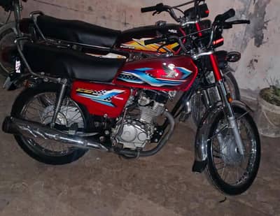 2024/2025 model  total janiun lush condition