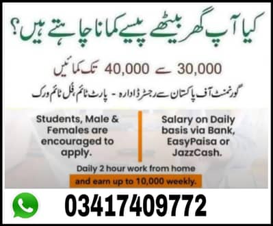 online job , online assignment work