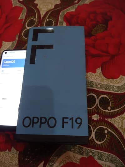 oppo f19 with 6/128 with box panel change
