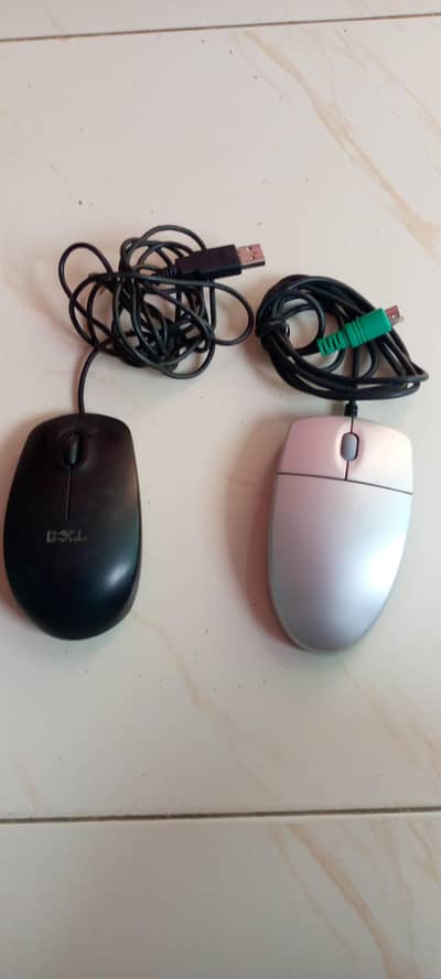 mouse
