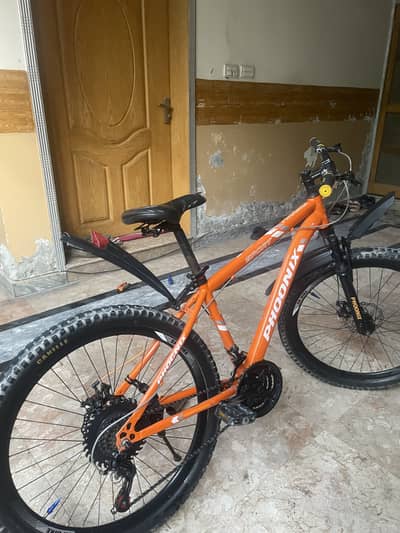 Phoenix cycle with front shocks