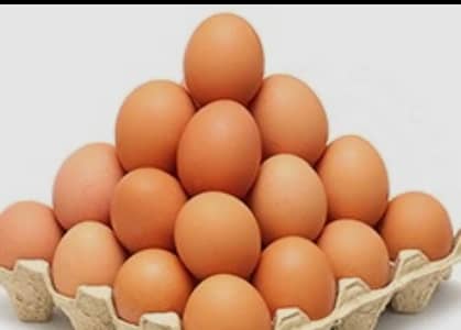 Desi Organic Eggs