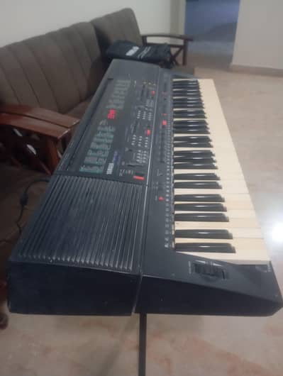 Yamaha & Casio