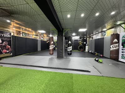 MMA GYM IN LAKECITY MEADOWS
