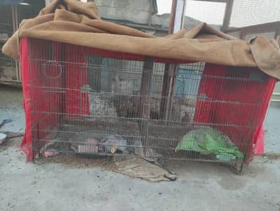 folding cage for cage  2x2'x4