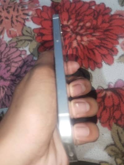 Chance wala iphone 12