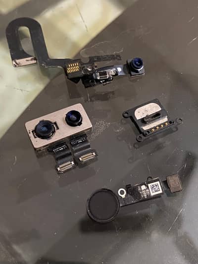 i phone 7 plus cameras