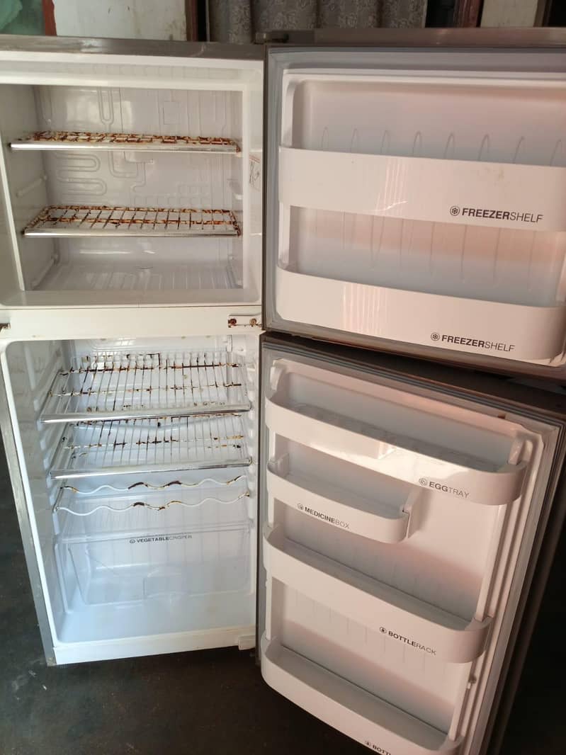 orient Medium size . 2