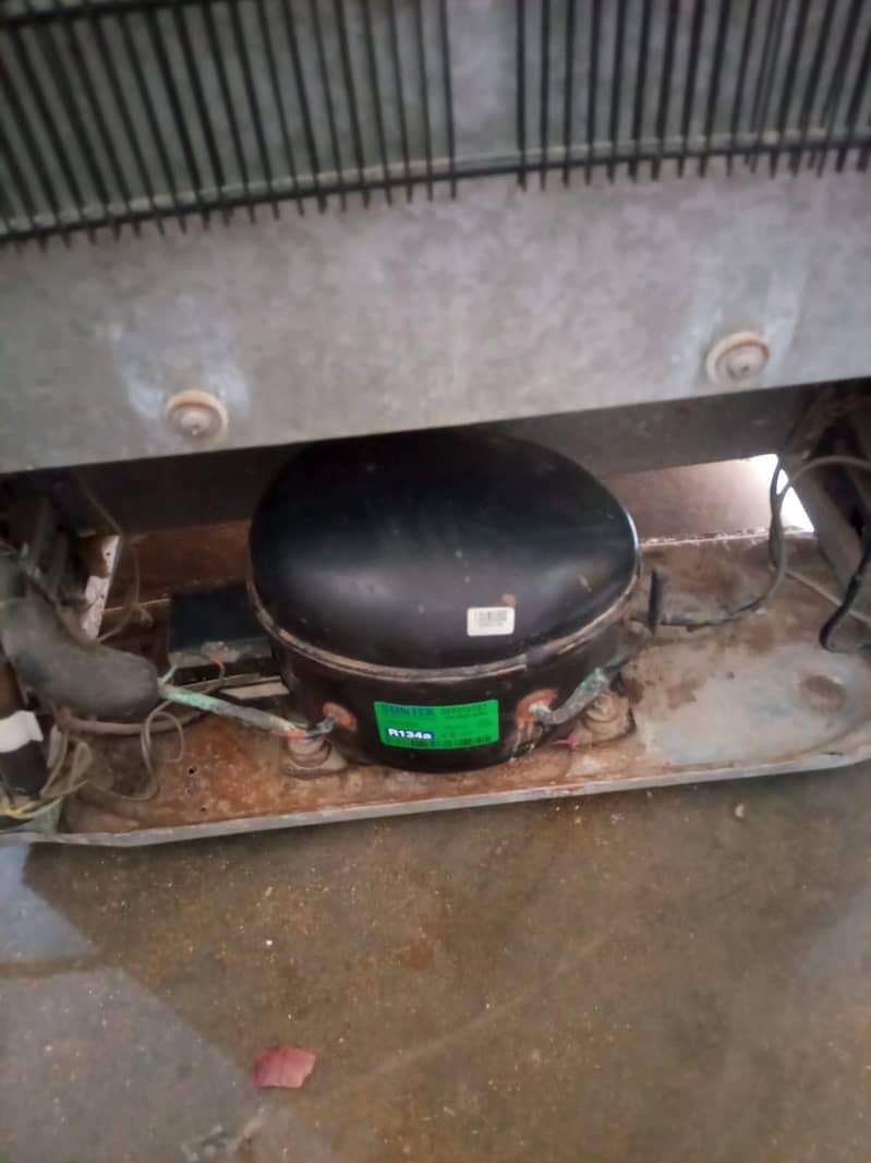 orient Medium size . 7