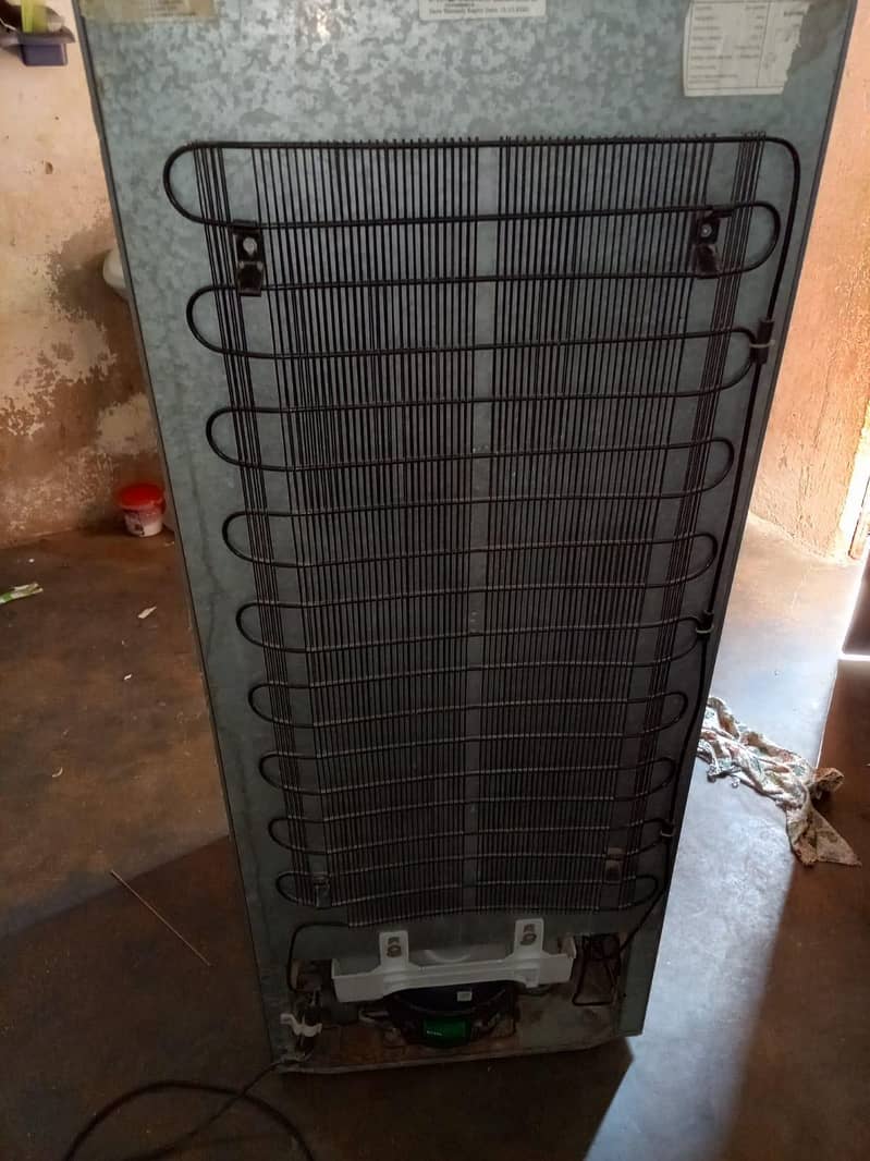 orient Medium size . 8