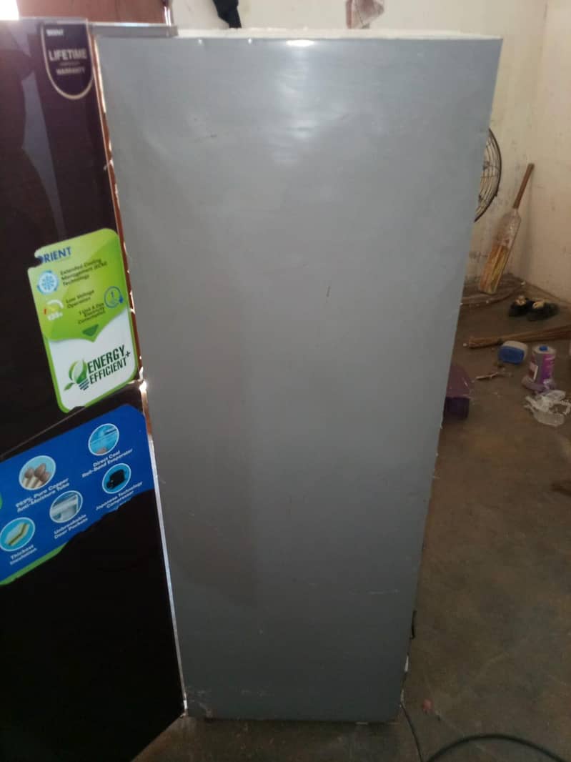 orient Medium size . 9