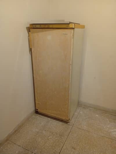 Hailer upright freezer