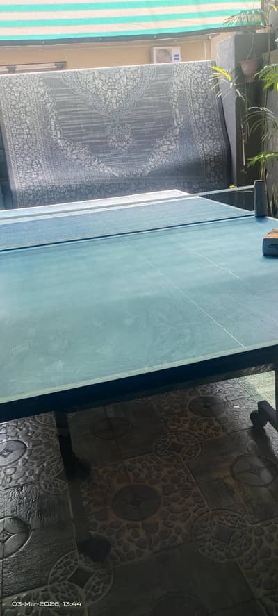 table tennis with net