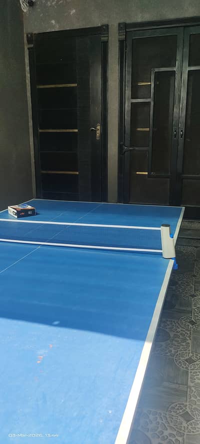 Table Tennis with net