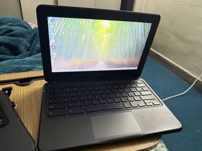 Dell 3100 Chromebook
