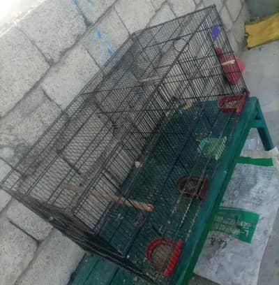 birds cage for salw