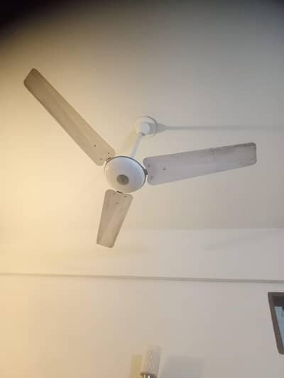 celling fan