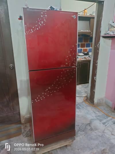 PEL Fridge Desire  Glass  Meduiam Size