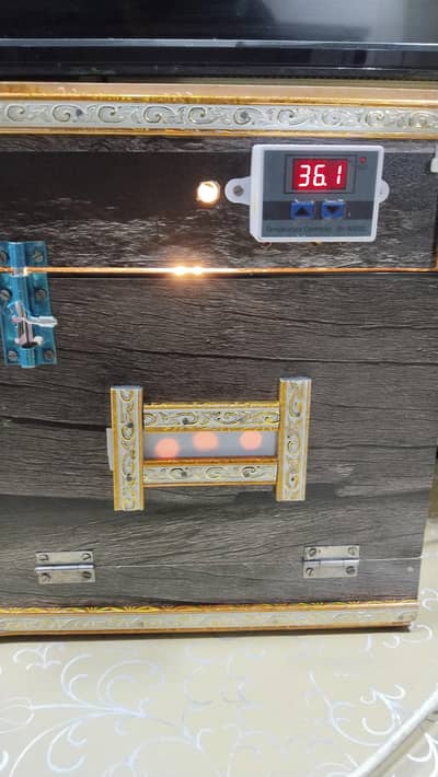 20 Egg Incubator Forsale