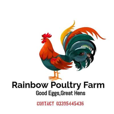Rainbow Poultry Farm Rwp