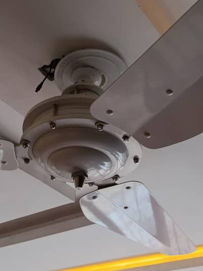 Lahore Fans Heritage White Designer Ceiling Fan (4 pcs available)