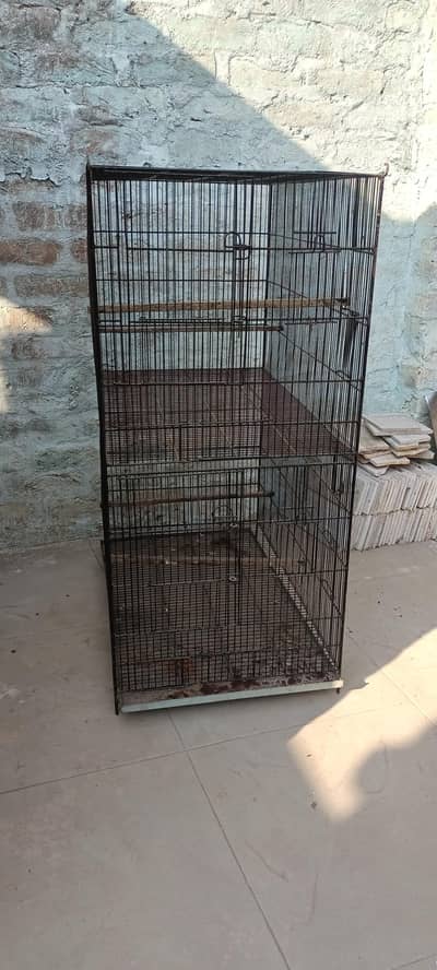 Tota ka pinjra hai new hai