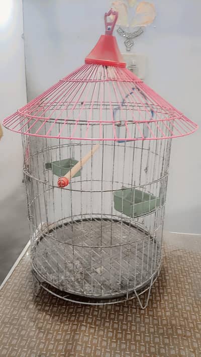 parrots cage