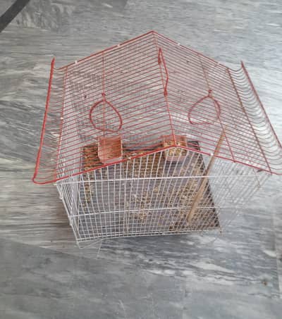 Parrot Cage