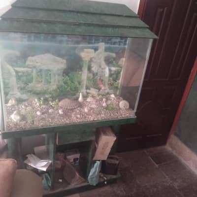 fish aquarium for sale