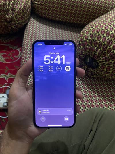 Iphone 12 pro max pta approved