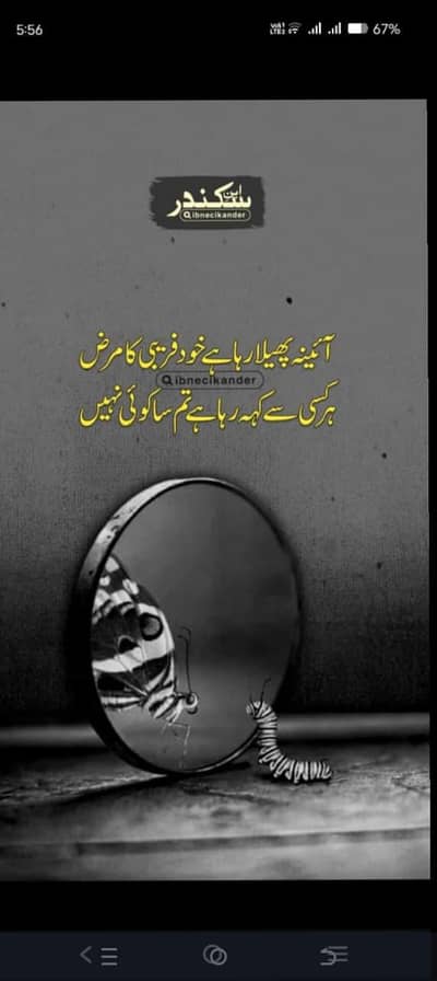 biryani and fast food  chief