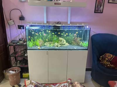 4 ft AQUARIUM-RED SEA DESIGN
