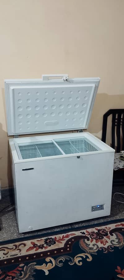 SIGNATURE DEEP FREEZER SINGLE DOOR IMPORT IT