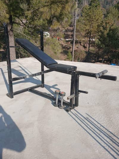 Exercise Stand And Dumbells (Gym Material)