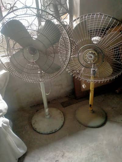 padestal faan urgent sale